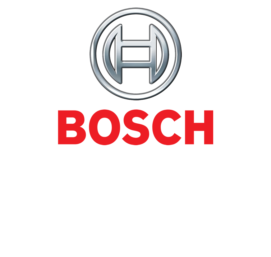 Bosch-1